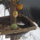 photo 2019-01-27 12-48-07