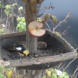 photo 2019-12-05 15-09-13