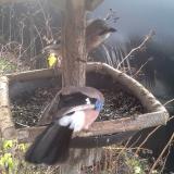 photo 2019-12-25 09-15-49