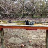 photo 2021-03-15 08-58-46