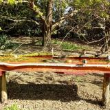 photo 2021-04-12 09-48-53