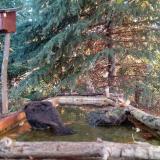 photo 2023-10-14 08-02-16