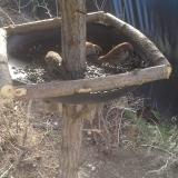 photo 2019-02-20 10-16-20