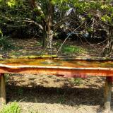 photo 2021-04-21 12-53-25