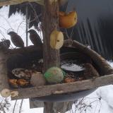 photo 2019-01-27 12-14-28