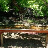 photo 2021-05-10 10-28-34