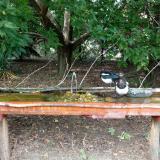 photo 2021-08-23 15-07-49