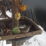 photo 2019-01-27 12-49-21