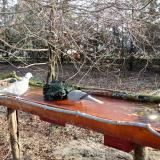 photo 2021-03-20 07-54-55