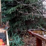 photo 2021-11-14 08-49-32