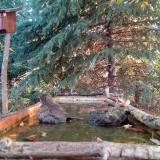 photo 2023-10-14 08-02-03