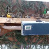 photo 2021-02-14 08-07-06