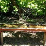 photo 2021-05-10 10-05-30