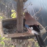 photo 2019-12-22 11-32-56