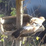 photo 2019-12-17 14-18-42