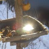 photo 2019-01-27 10-11-52