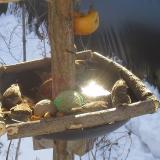 photo 2019-01-27 10-09-01