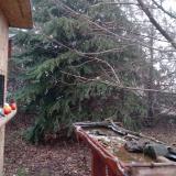 photo 2021-12-16 07-55-08