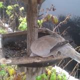 photo 2019-12-02 09-56-51