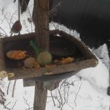 photo 2019-01-23 11-03-05