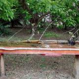 photo 2021-05-07 07-40-25