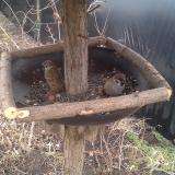 photo 2019-02-22 14-08-17