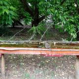 photo 2021-05-22 15-37-31