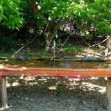 photo 2021-05-08 11-16-58