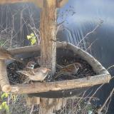 photo 2019-12-24 12-39-16