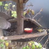 photo 2019-12-06 12-32-14