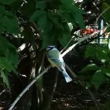 photo 2021-09-08 09-44-44 kekcinege