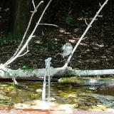 photo 2021-08-09 12-20-06 kisposzata