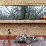 photo 2022-01-25 13-28-25