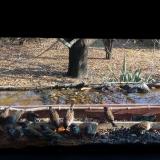 photo 2021-11-11 13-02-13