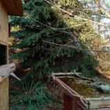 photo 2021-11-18 14-27-51