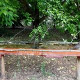 photo 2021-05-25 10-30-57