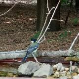 photo 2021-07-13 16-43-59 cinke