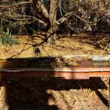 photo 2021-10-24 11-58-49