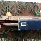 photo 2021-02-10 10-09-00