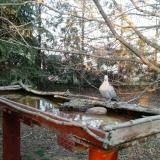 photo 2022-03-02 16-31-31