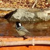 photo 2021-10-27 10-53-43 kicsoda