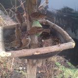 photo 2019-02-11 08-56-23