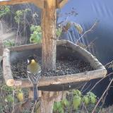 photo 2019-12-11 12-16-46