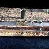 photo 2021-12-04 12-51-30