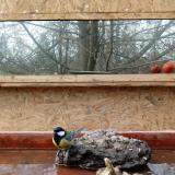 photo 2022-01-31 14-10-13