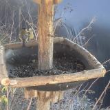 photo 2019-12-31 13-09-23