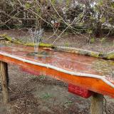 photo 2021-04-01 16-47-21