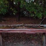 photo 2021-10-04 18-30-03