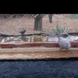 photo 2021-11-26 10-02-05