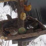 photo 2019-01-27 11-49-41